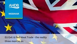 EU Exit and red meat trade – the reality three months on